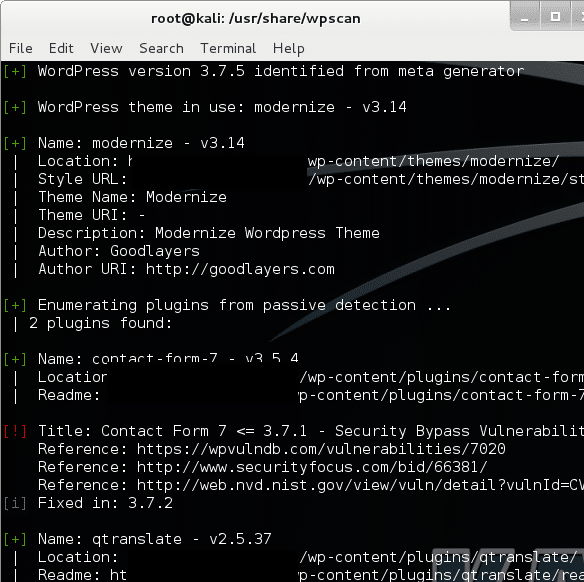 Wp Scan Example