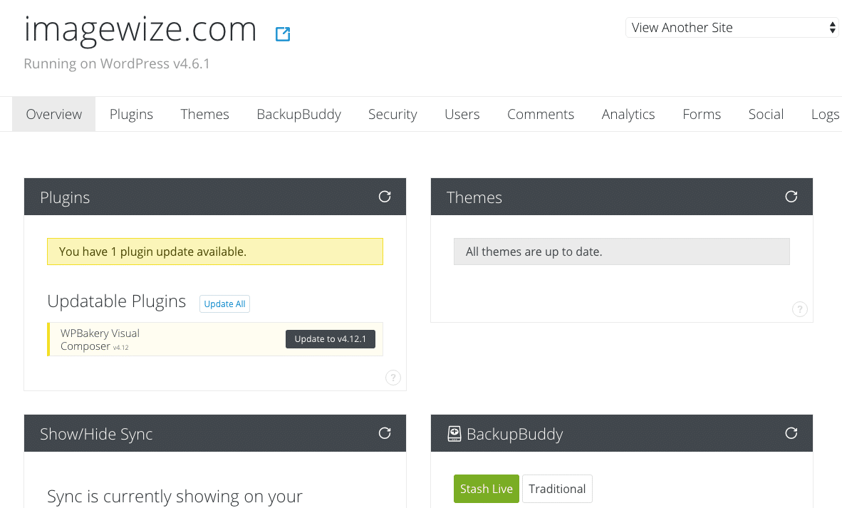 iThemes Sync Pro
