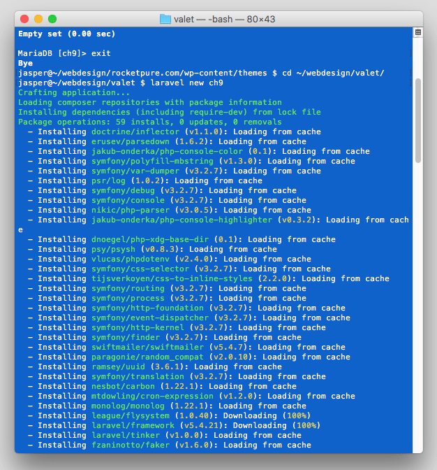 Laravel Installation