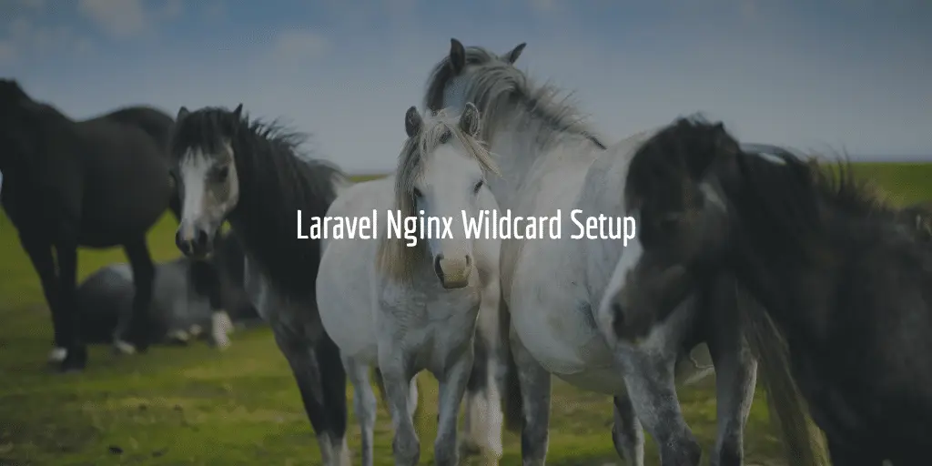 Laravel Nginx Wildcard Setup