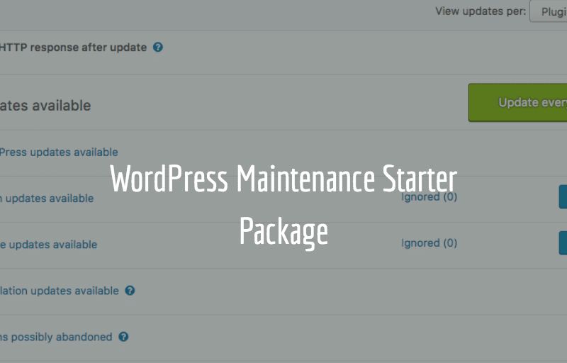 WordPress Maintenance Starter Package