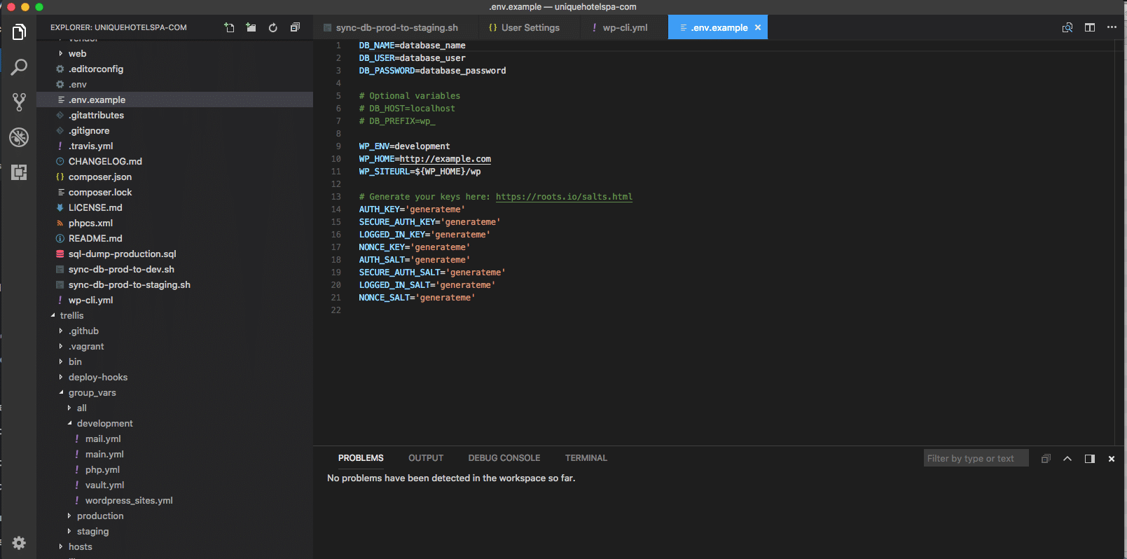 Visual Studio Code Custom Settings | Imagewize