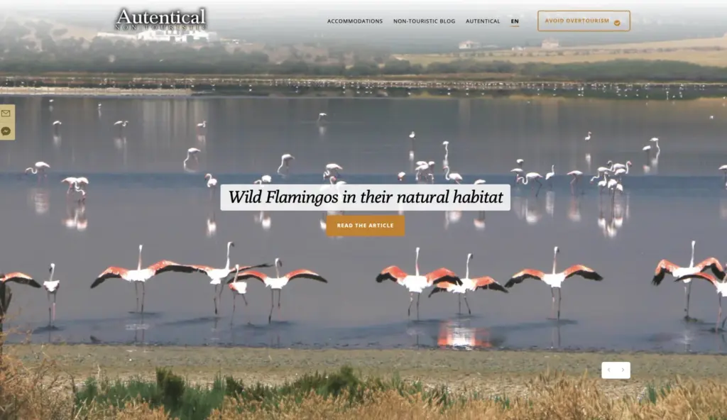 WordPress speed optimization for Autentical — travel site with  
  flamingo hero".                                                                                                                             
               