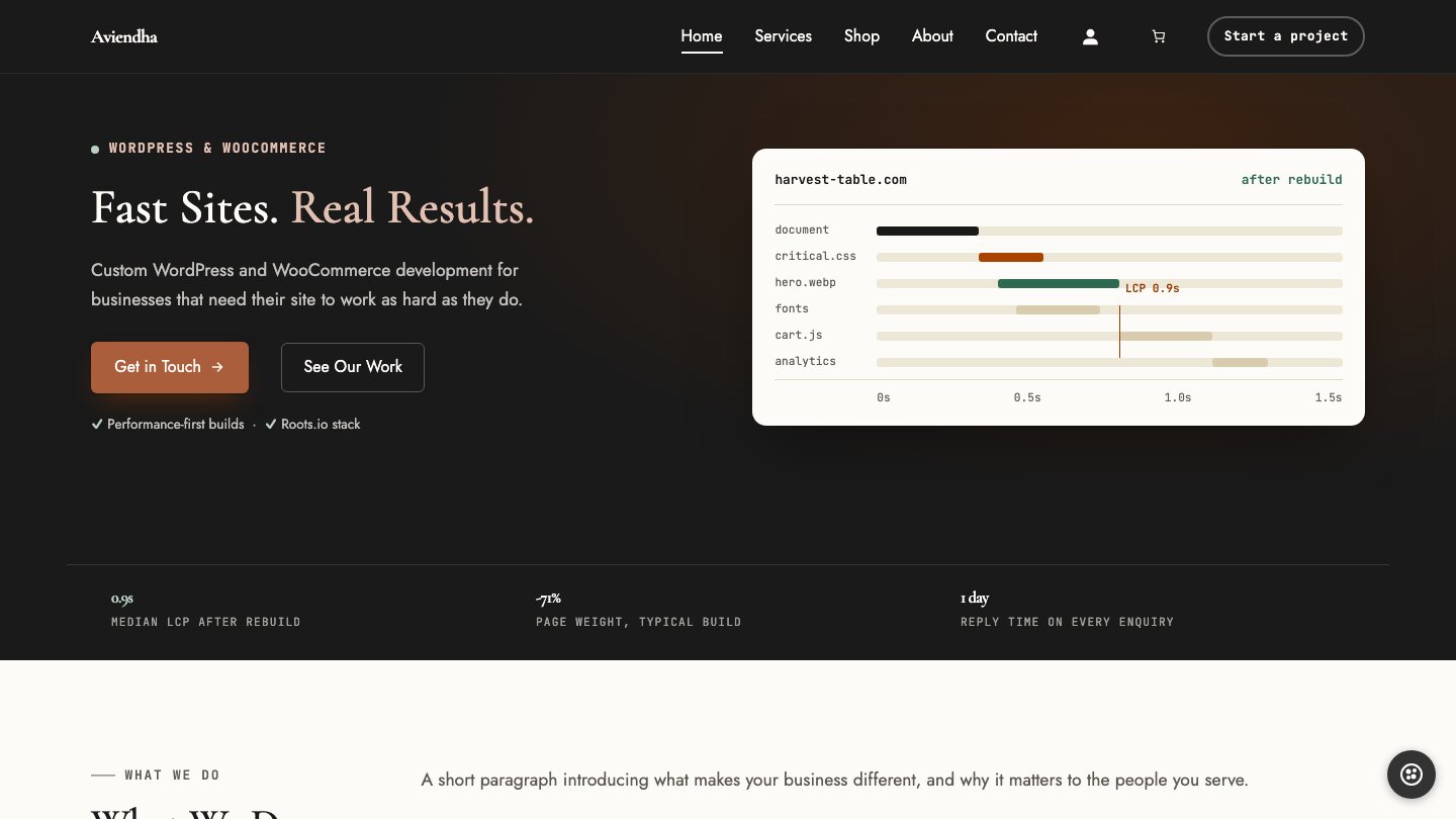 Aviendha Store variation: a charcoal hero with a serif headline, a rust-orange button and a performance chart card on the right